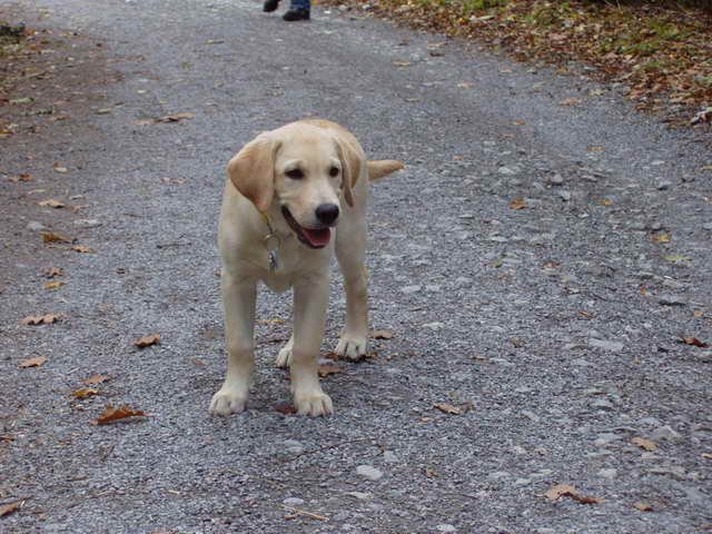 photo4.jpg