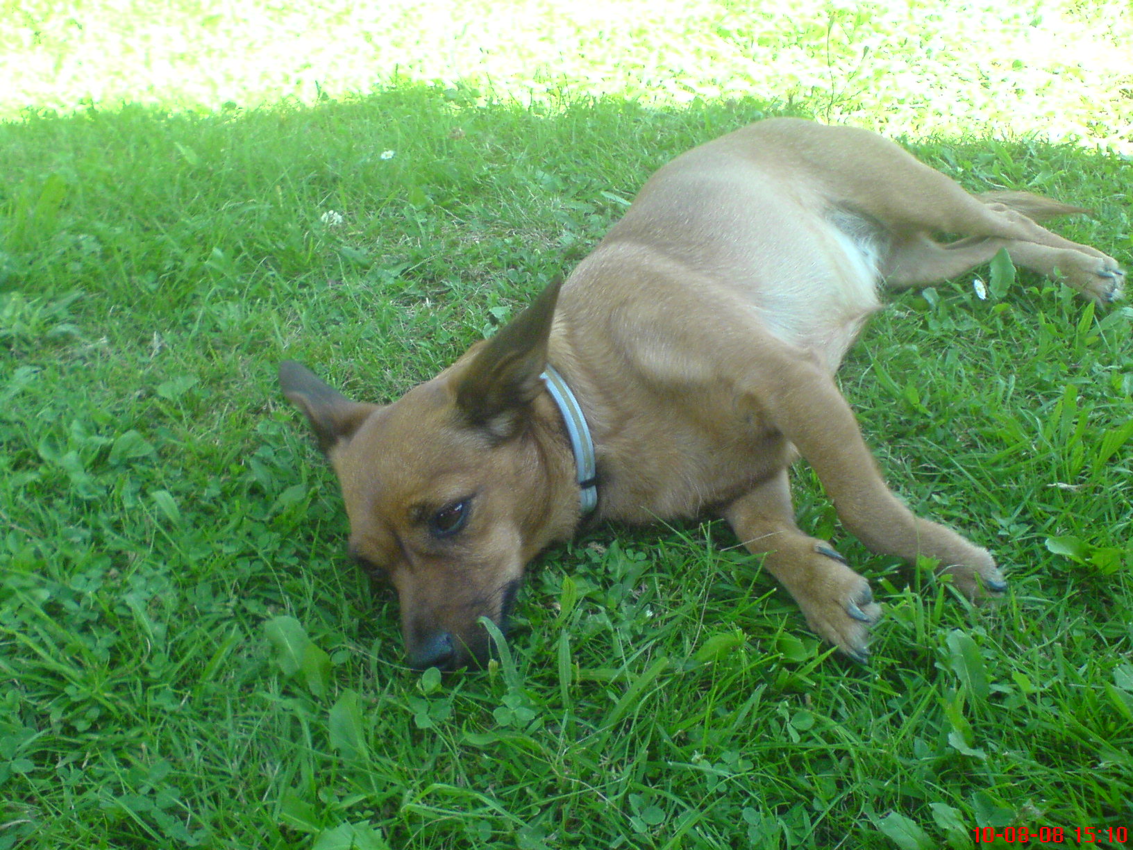 Snímek 087.jpg